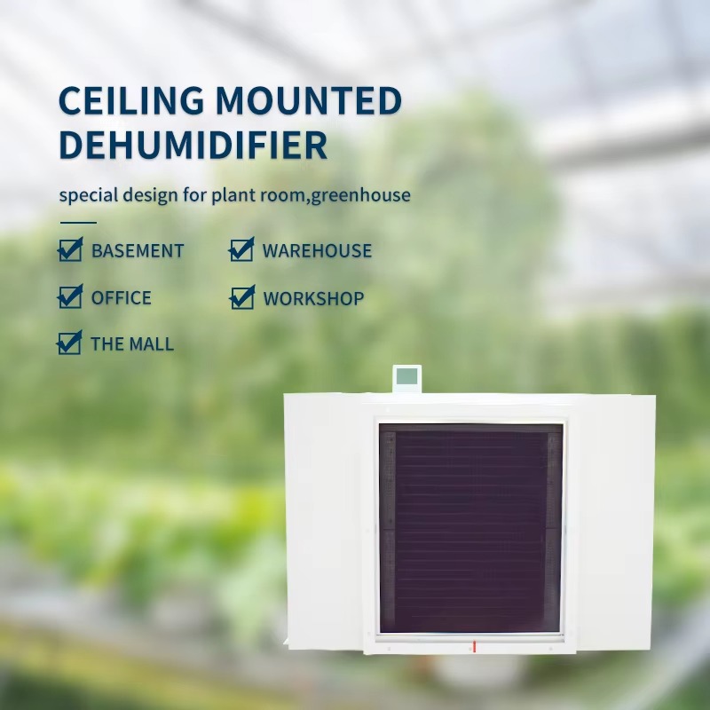 Dehumidifier Udara Besar 480L  - Air Compressor ulasan dan harga